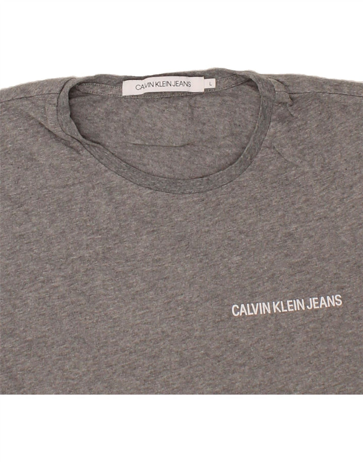 CALVIN KLEIN Mens T-Shirt Top Large Grey Cotton Vintage Calvin Klein and Second-Hand Calvin Klein from Messina Hembry 