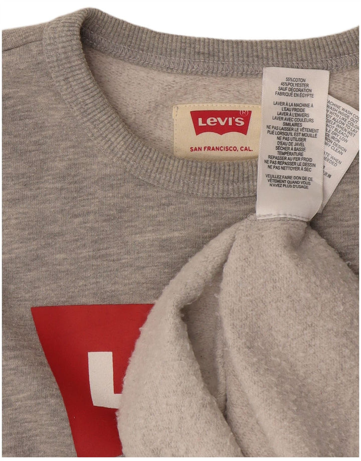 LEVI'S drenge grafisk sweatshirt trøje 12-13 år grå bomuld