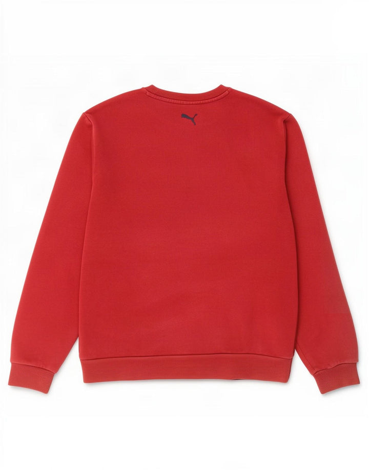 Puma Herre Grafisk Sweatshirt Jumper Large Rød