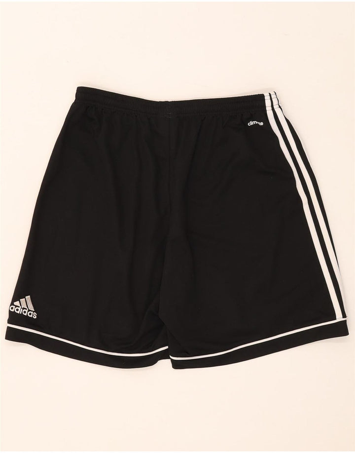 Adidas Herre Climalite Sportshorts Stor sort polyester