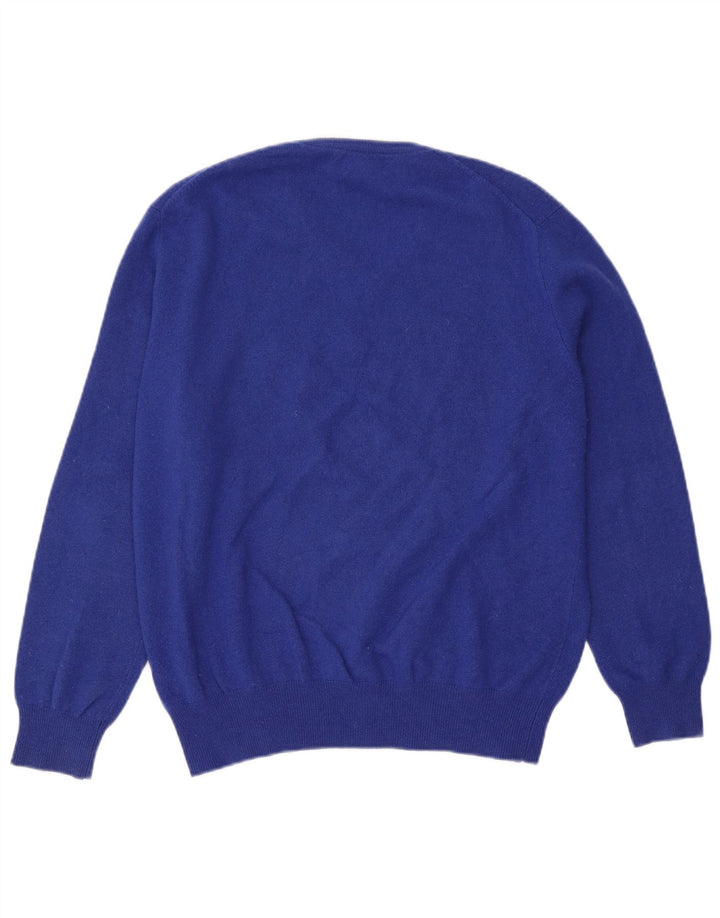 Polo Ralph Lauren Herre V-hals sweater stor blå