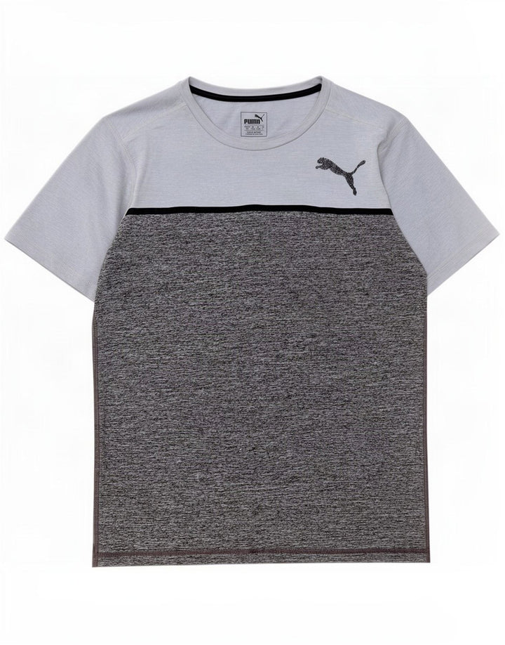 Puma Herre T-Shirt Top Lille Grå Colourblock Polyester