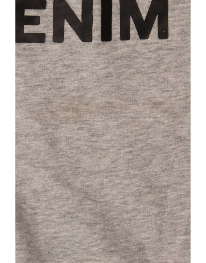 Tommy Hilfiger Herre Grafisk Sweatshirt Jumper Stor Grå Bomuld