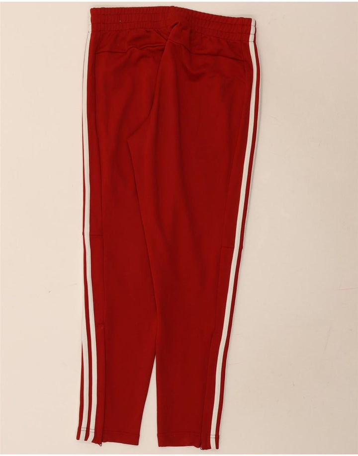 Adidas Træningsdragtsbukser til kvinder UK 12/14 Medium Rød Polyester