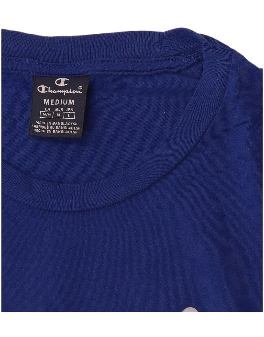 Champion Herre grafisk T-shirt Top Medium Blue Bomuld