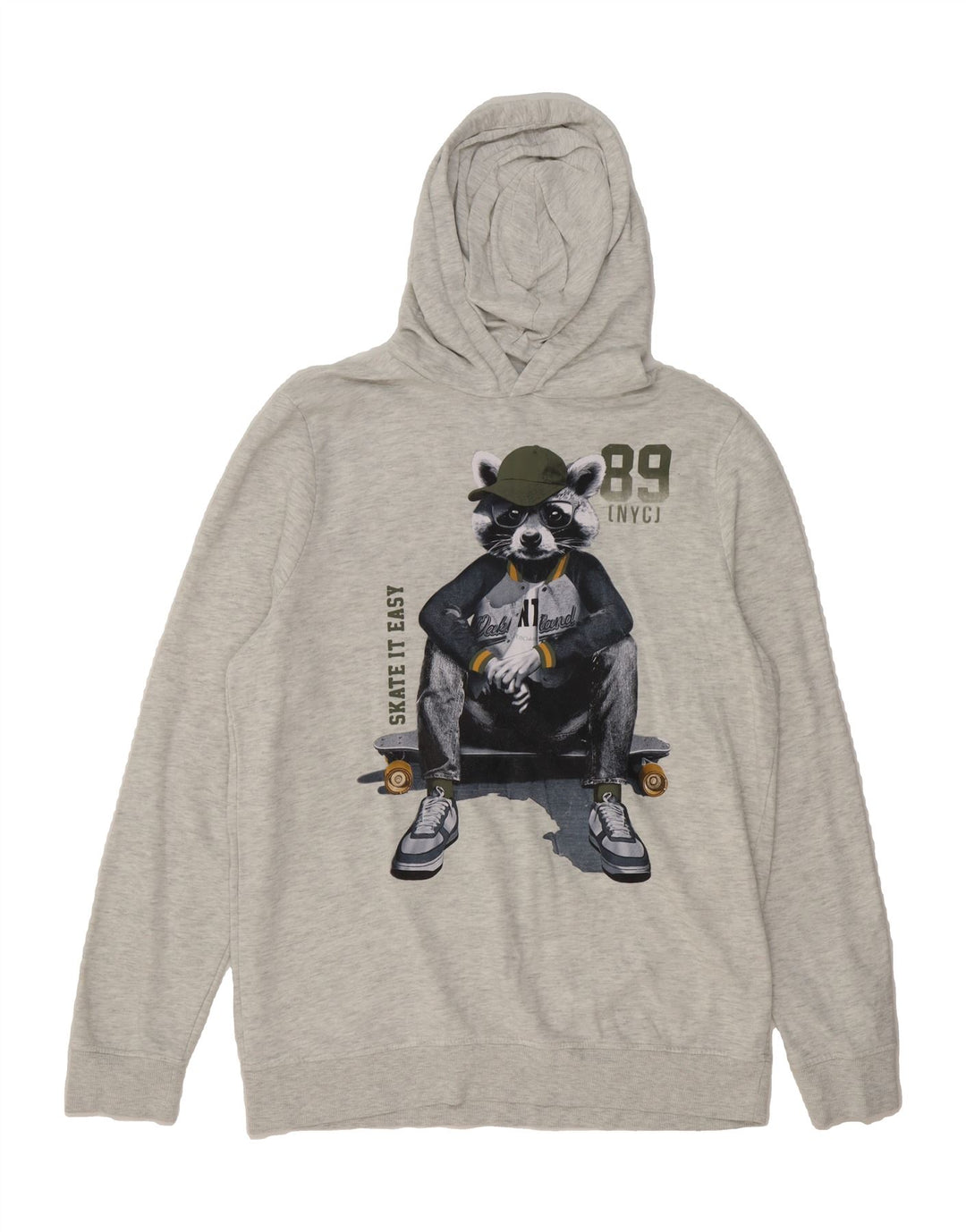 C&A Boys Graphic Hoodie Jumper 13-14 Years Grey Cotton Vintage C&A and Second-Hand C&A from Messina Hembry 