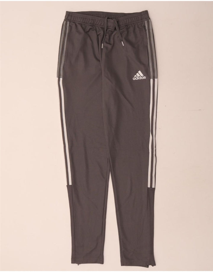 Adidas Træningsdragtsbukser til drenge 15-16 år Grå polyester