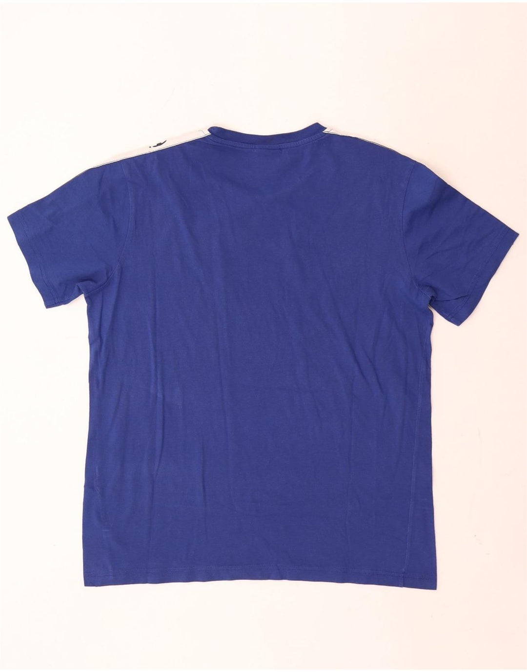 Champion Herre grafisk T-shirt Top Medium Blue Colourblock