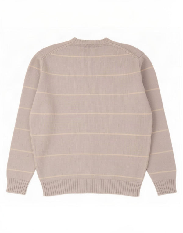 Zara Herre V-hals sweater XL Blå Stribet