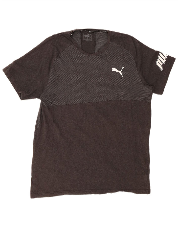 PUMA Herre grafisk T-shirt Top 2XL Grå Colourblock