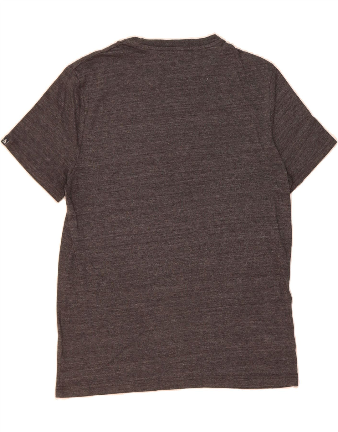 PENGUIN Mens Graphic T-Shirt Top Large Grey Polyester Vintage Penguin and Second-Hand Penguin from Messina Hembry 