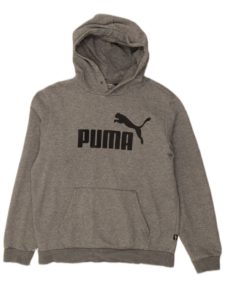 Puma Grafisk hættetrøje til mænd, lille grå bomuld