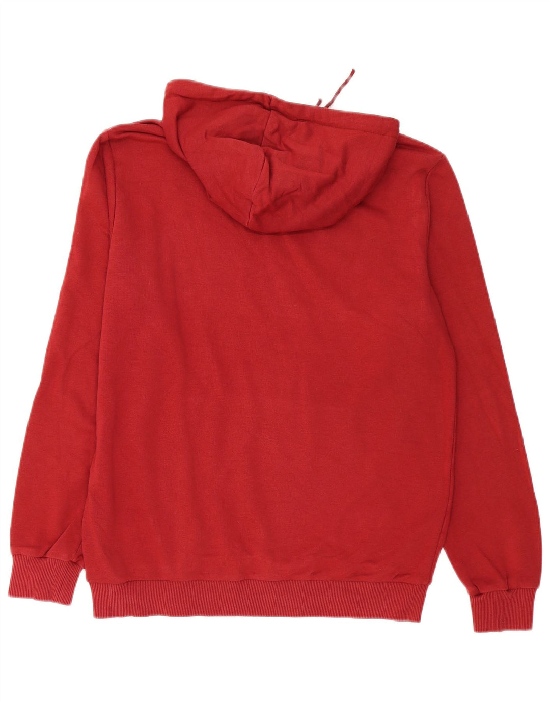 Puma Herre grafisk hættetrøje Jumper Medium Burgundy