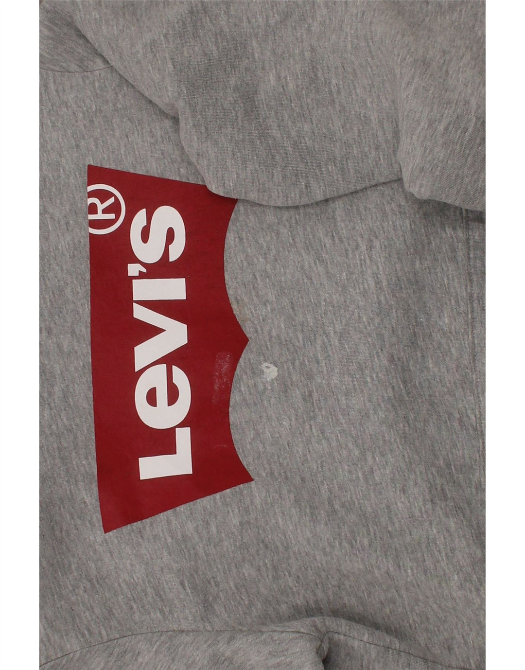 LEVI'S Boys Graphic Hoodie Jumper 9-10 Years Grey Cotton Vintage Levi's and Second-Hand Levi's from Messina Hembry 