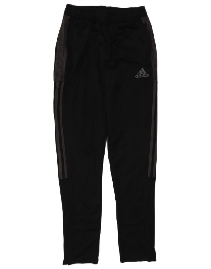 Adidas Boys Primegreen Tracksuit Bukser 13-14 År Sort Polyester