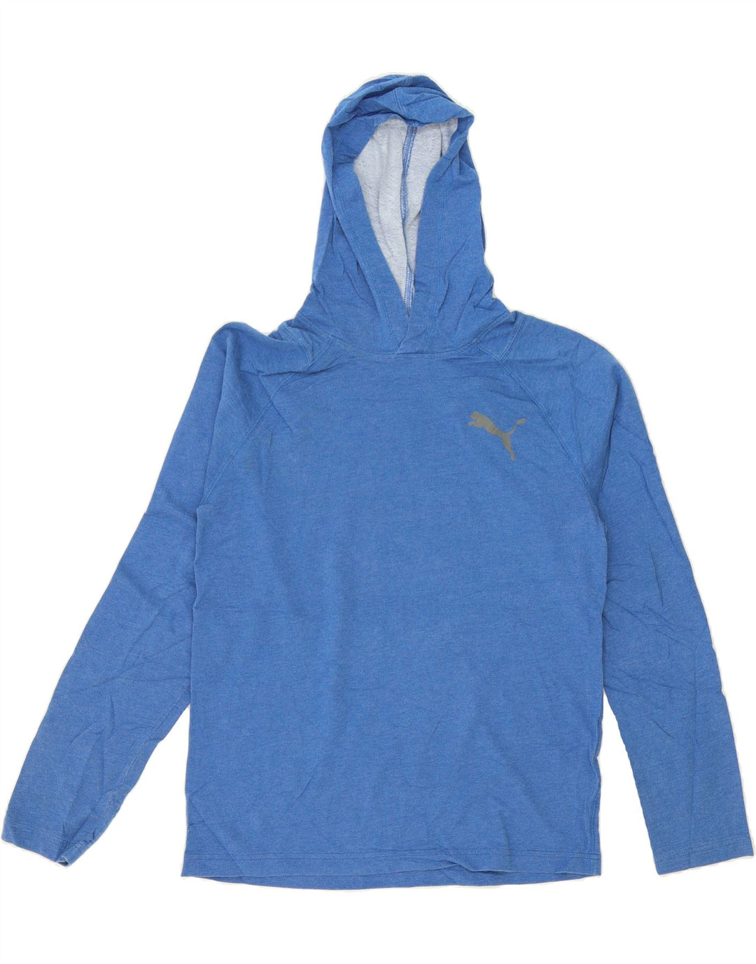 PUMA Womens Hoodie Jumper UK 14 Medium Blue Polyester Vintage Puma and Second-Hand Puma from Messina Hembry 