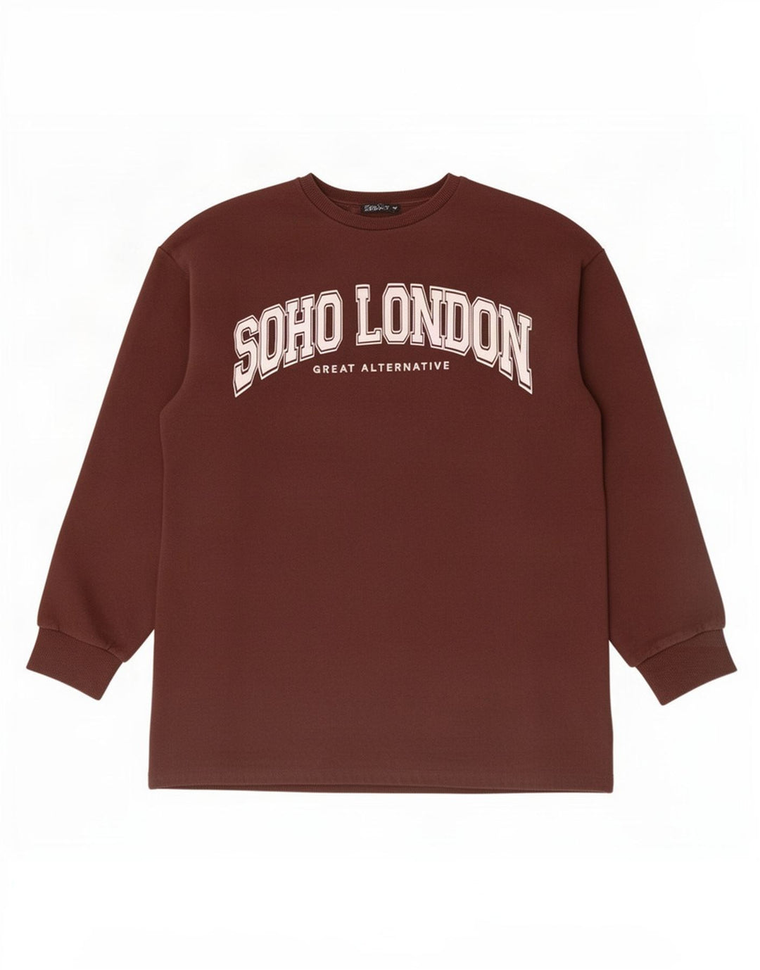 Zara Graphic Sweatshirt Jumper UK 16 Stor brun bomuld