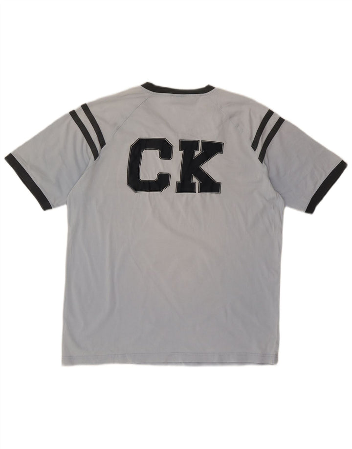 CALVIN KLEIN JEANS Grafisk T-shirt Herre Top Stor Blå