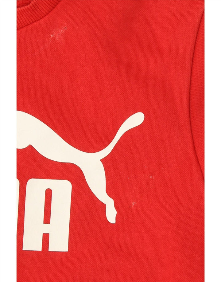 Puma Boys Grafisk Sweatshirt Jumper 13-14 år Rød Bomuld