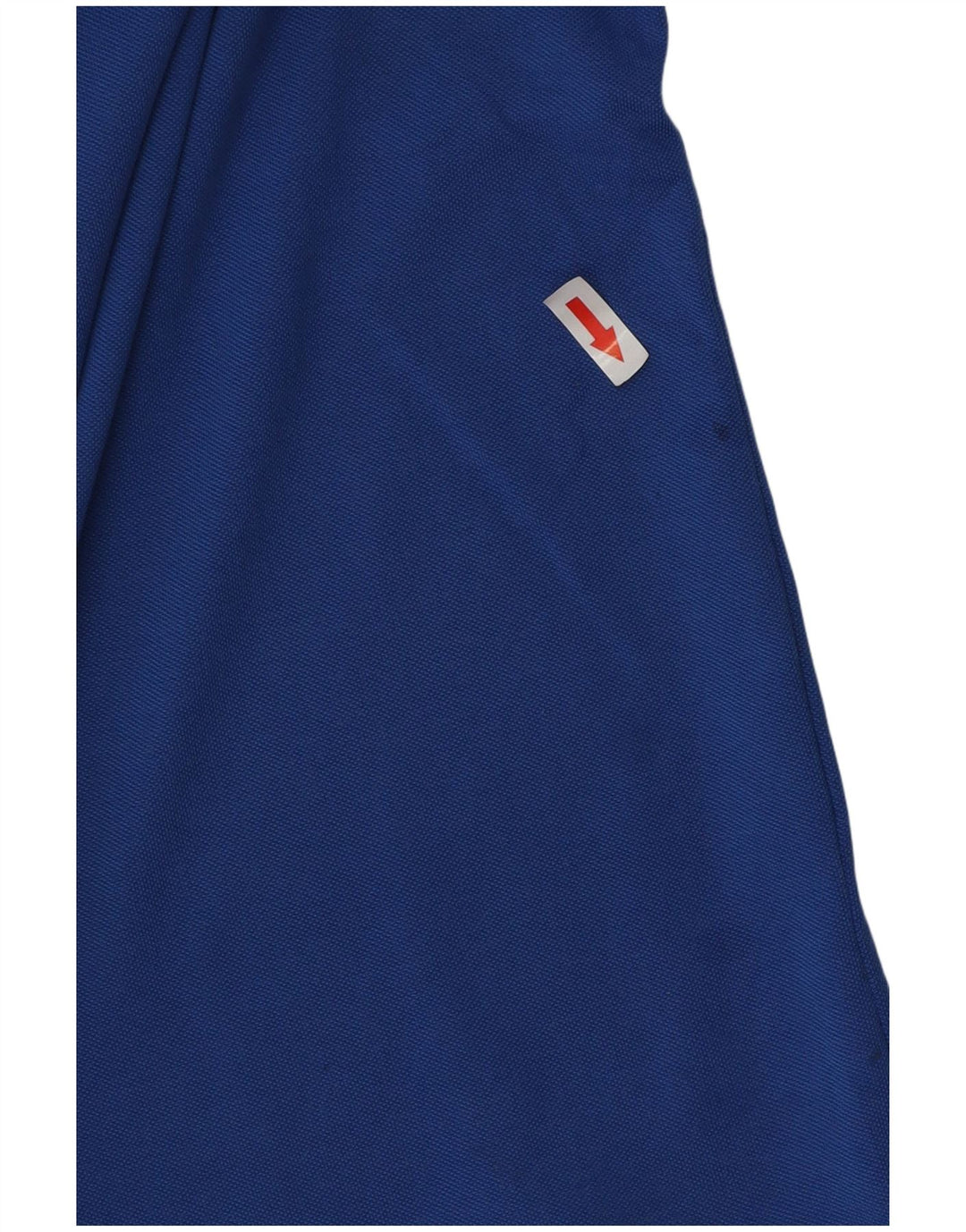 Champion Herre Grafisk Polo Shirt Large Blue