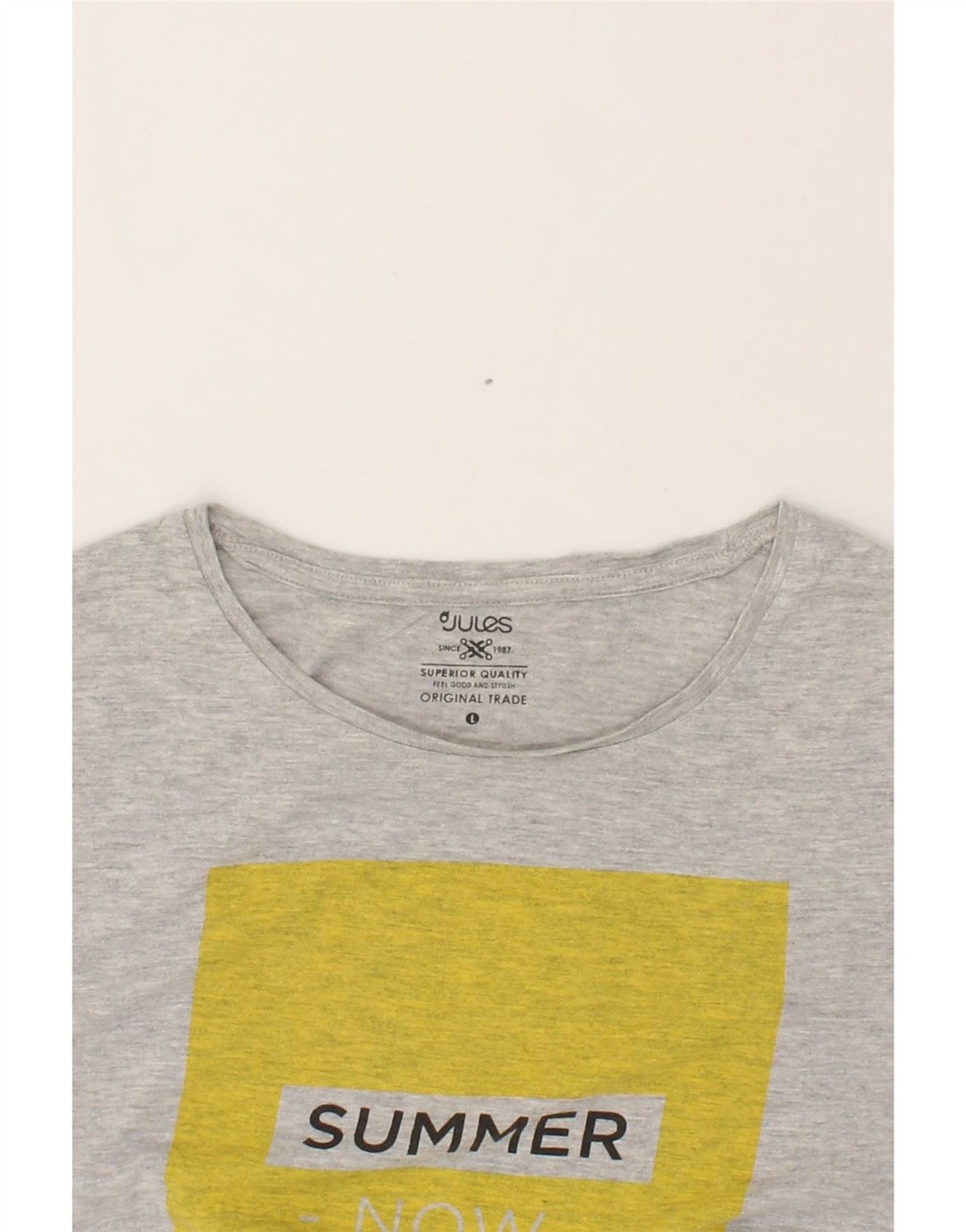 JULES Mens Graphic T-Shirt Top Large Grey Cotton Vintage Jules and Second-Hand Jules from Messina Hembry 