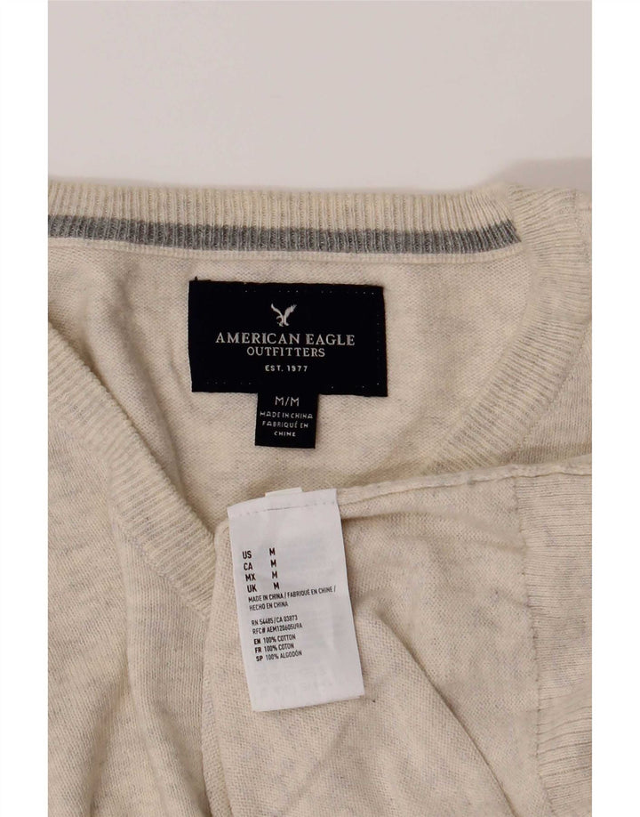 American Eagle Outfitters Herre V-hals sweater Medium Beige Flecked