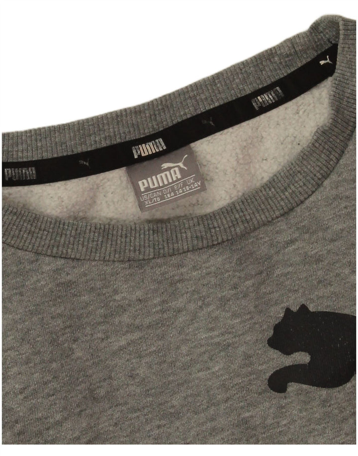 Puma Boys Graphic Sweatshirt Jumper 13-14 år Grå bomuld