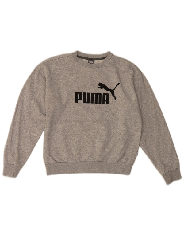 Puma Herre Grafisk Sweatshirt Jumper XS Grå Bomuld
