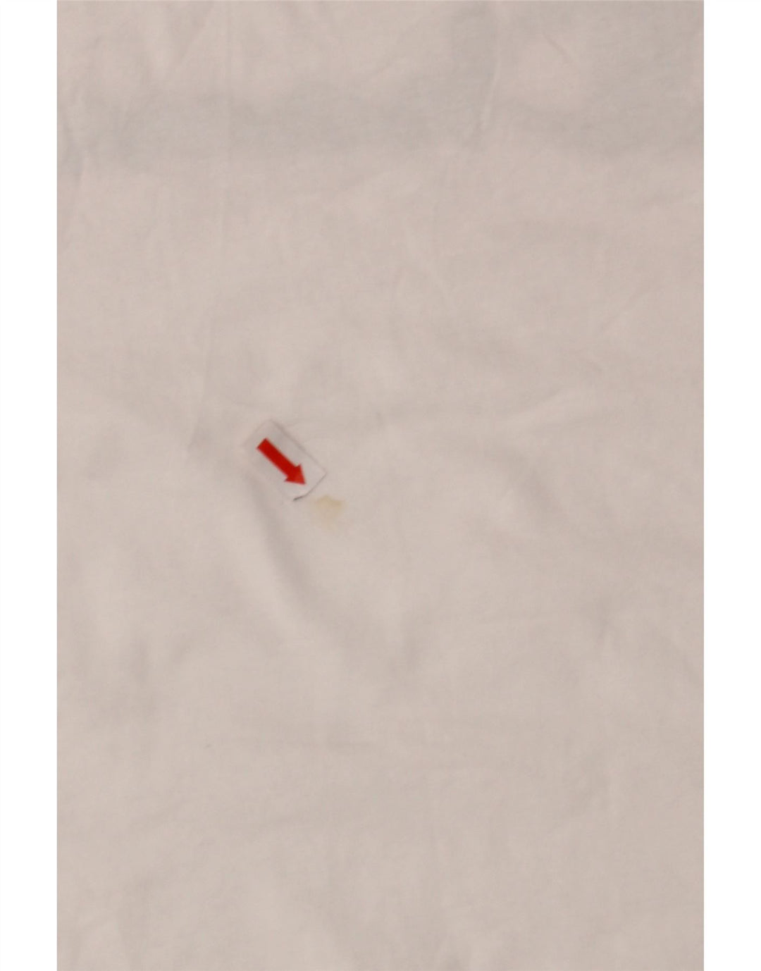 CHAMPION Mens Graphic T-Shirt Top Medium White Cotton Vintage Champion and Second-Hand Champion from Messina Hembry 
