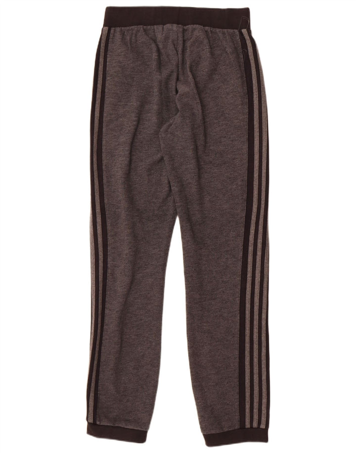 Adidas Træningsdragt til mænd Joggers Små Grå Bomuld