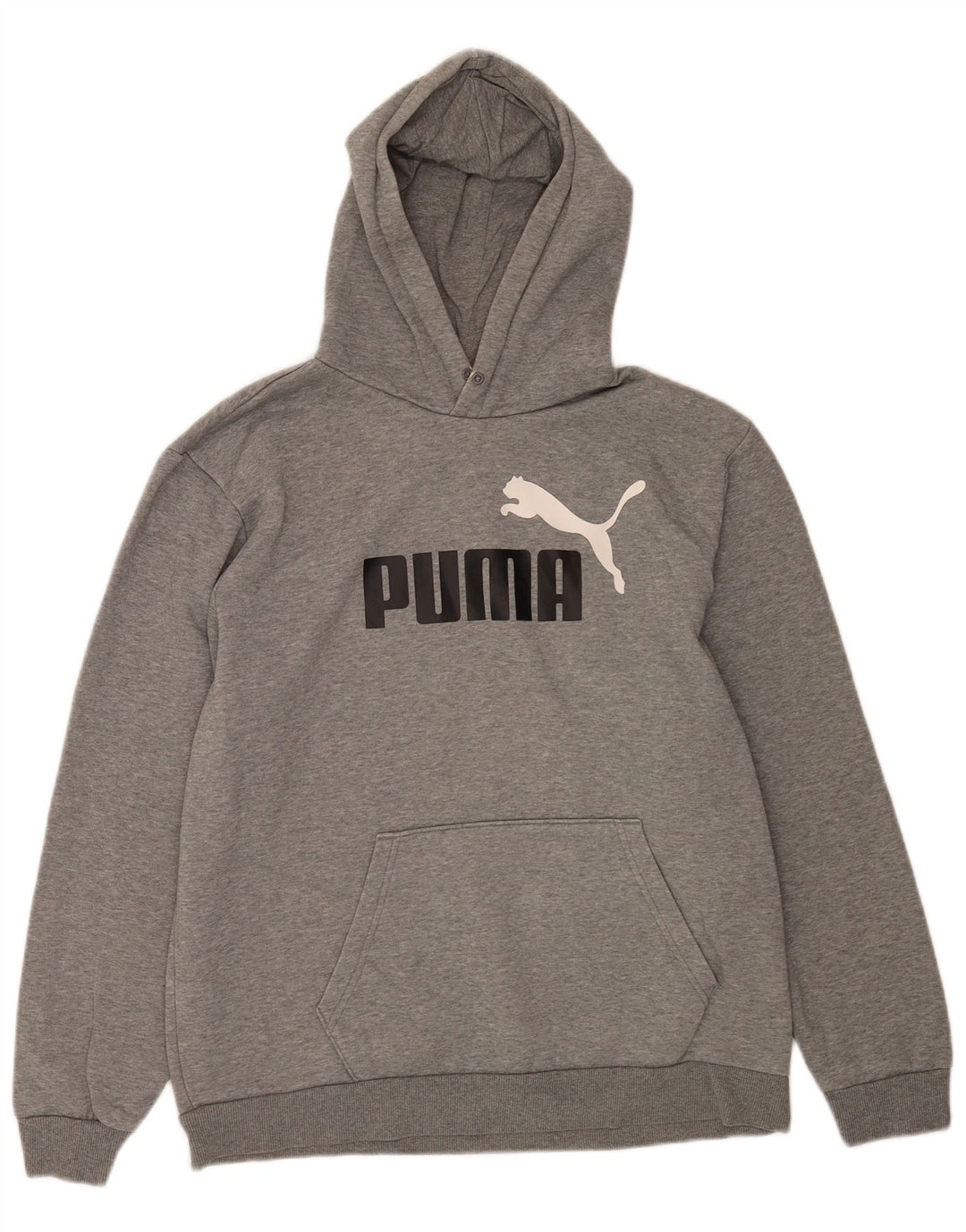 Puma Grafisk hættetrøje til mænd, stor grå
