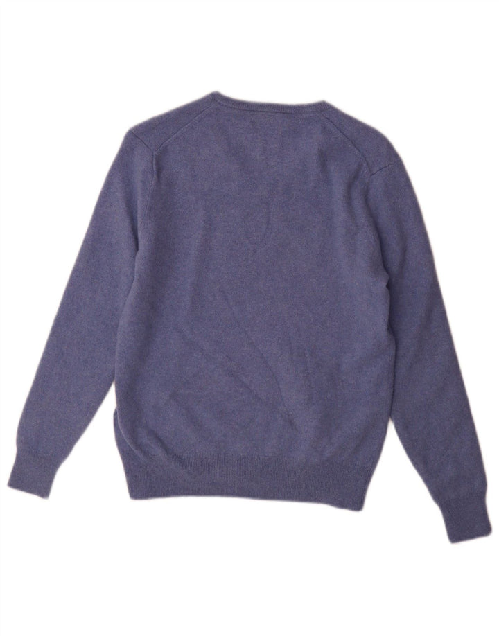 Polo Ralph Lauren Herre Jumper Sweater Lille Blå Uld