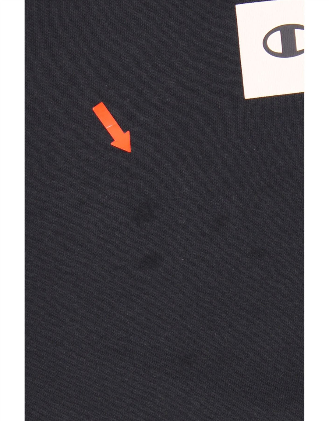 CHAMPION Mens Graphic Hoodie Jumper Medium Navy Blue Cotton Vintage Champion and Second-Hand Champion from Messina Hembry 