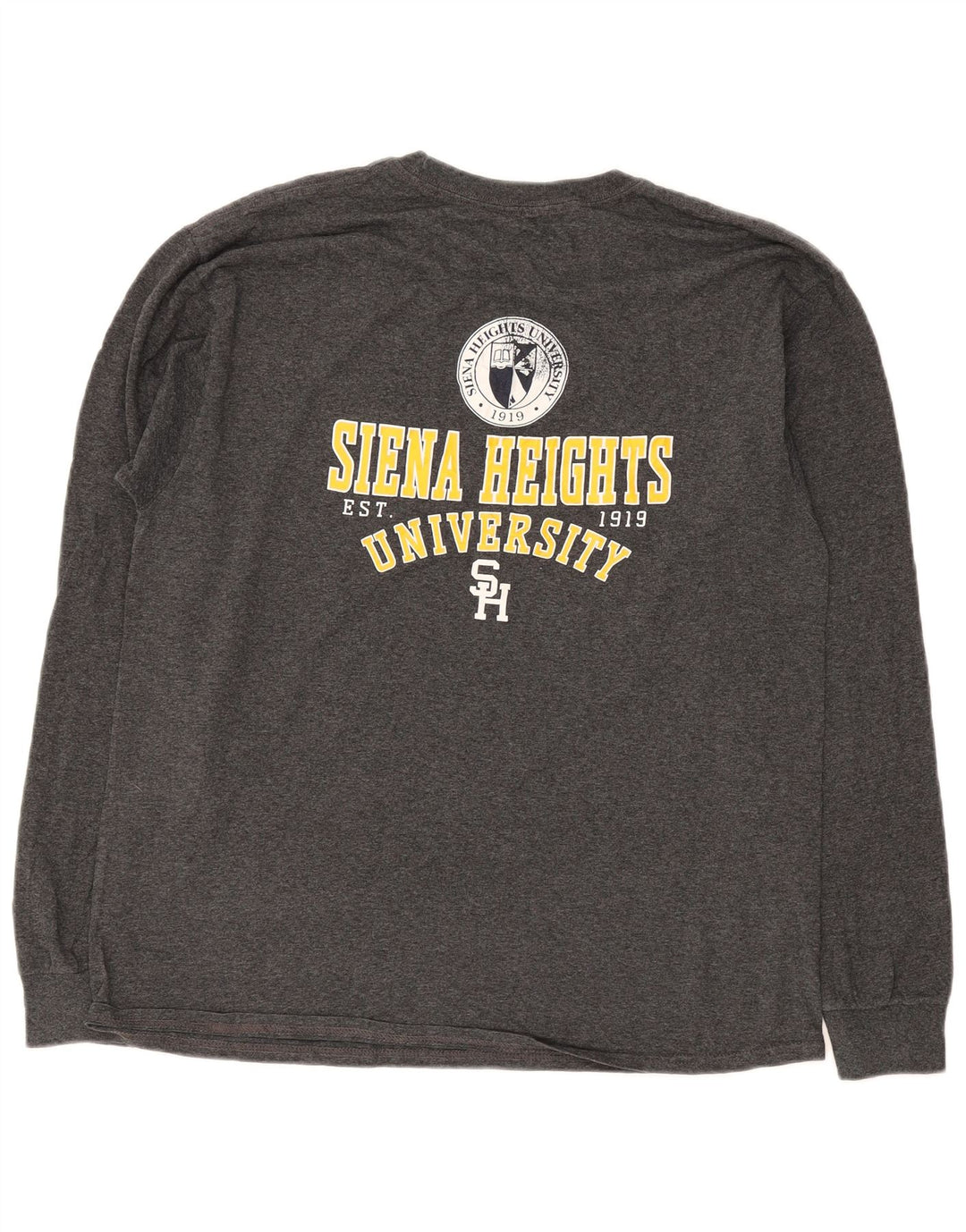 Champion Herre Siena Heights University Grafisk Top Langærmet Stor Grå