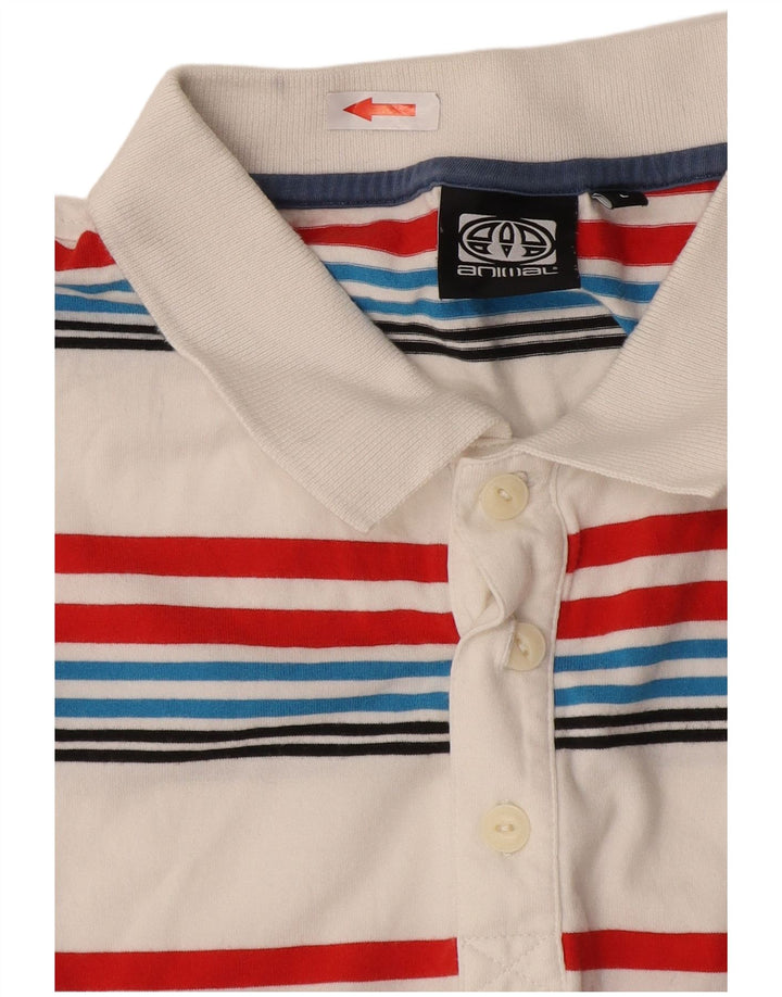 Animal Herre poloshirt Stor flerfarvet stribet bomuld