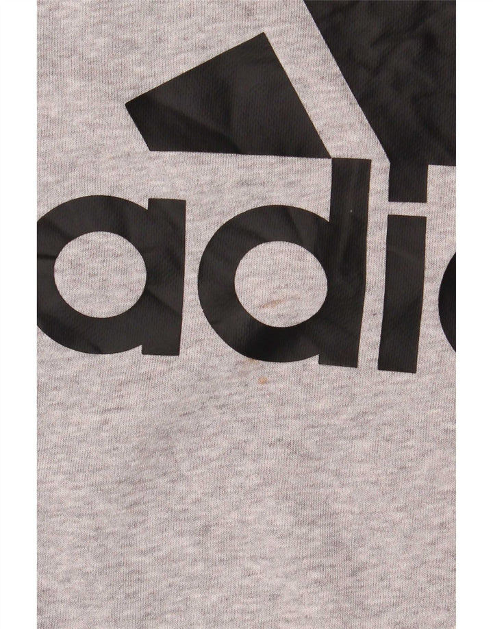 Adidas Grafisk Sweatshirt Jumper til mænd 3XL Grå Flecked Bomuld