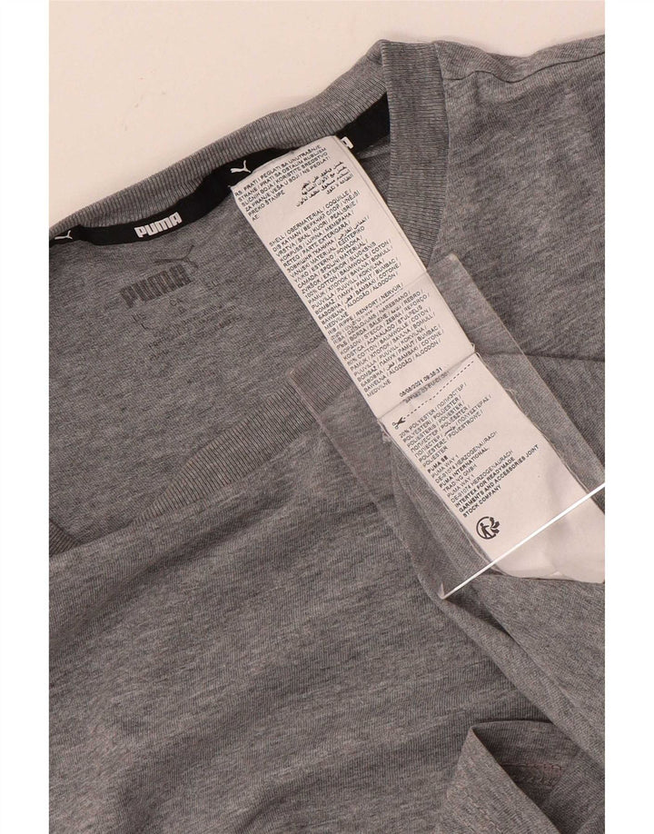 Puma Herre Grafisk T-Shirt Top Stor Grå Colourblock Bomuld