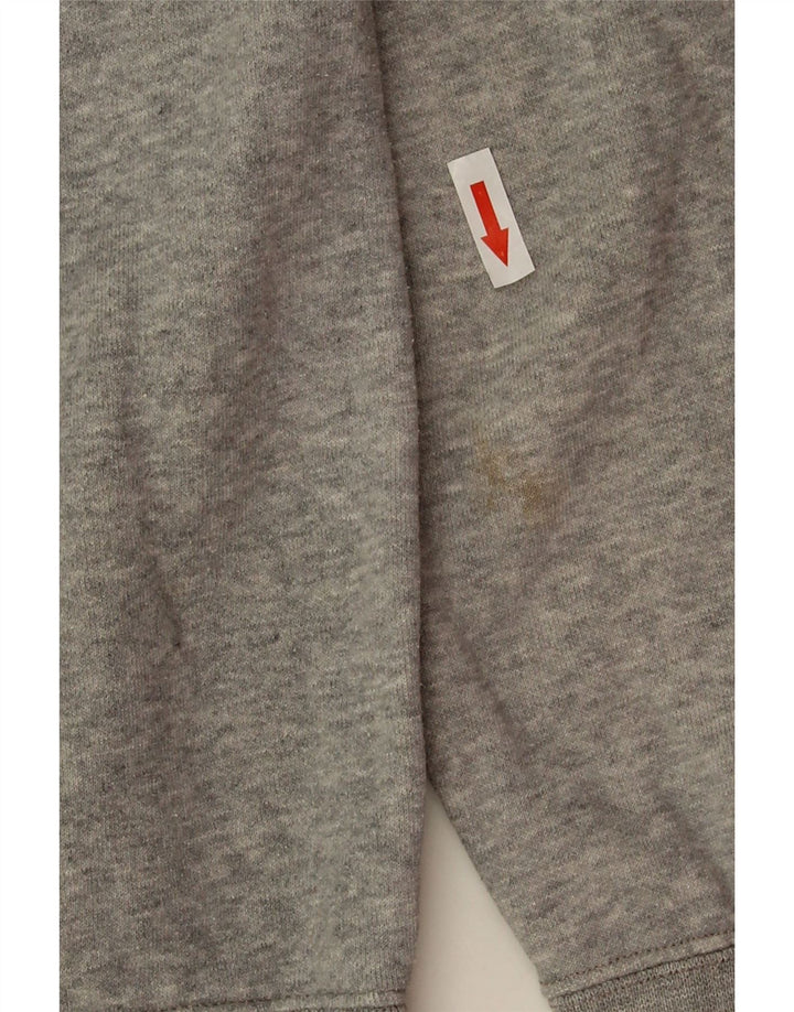Champion Herre grafisk hættetrøje Jumper Medium Grey Flecked Bomuld