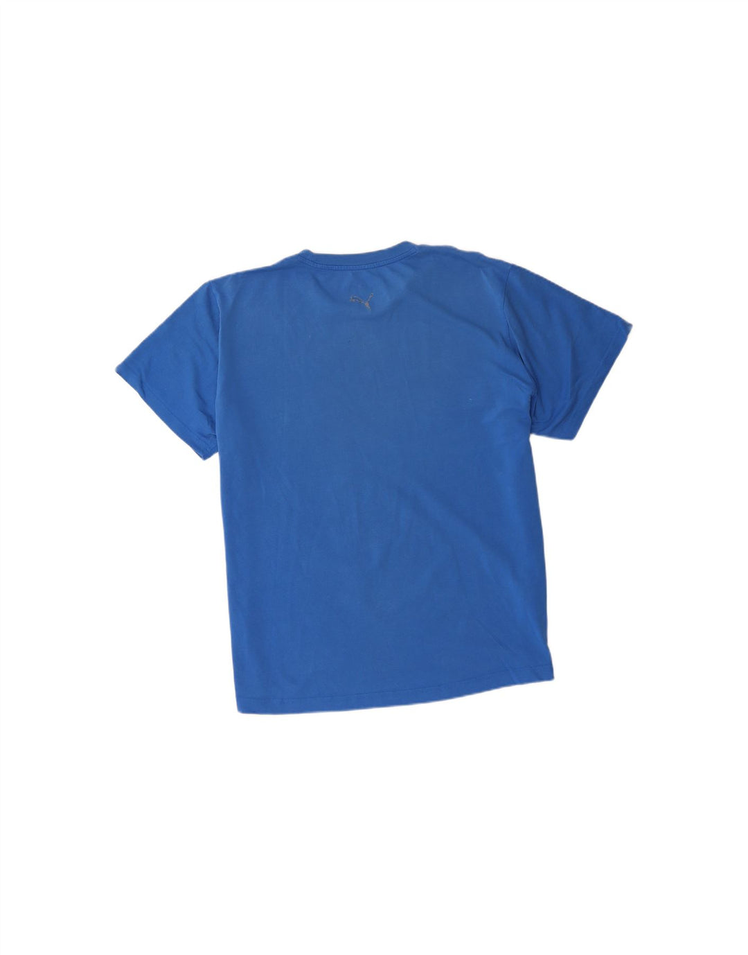 PUMA Mens Graphic T-Shirt Top Large Blue