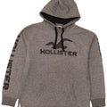 Hollister Grafisk hættetrøje til mænd mellemgrå bomuld
