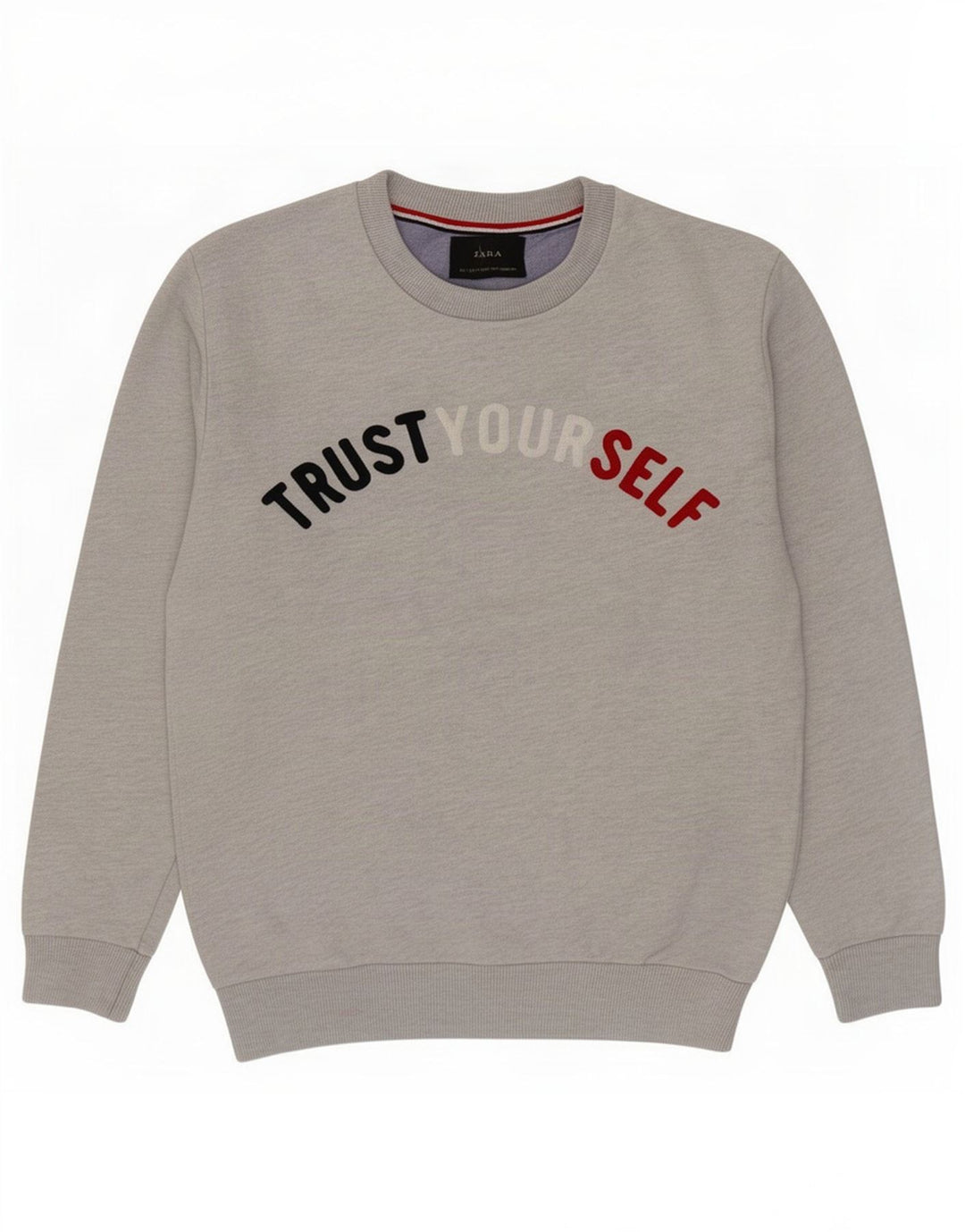 Zara Herre Grafisk Sweatshirt Jumper Lille Grå