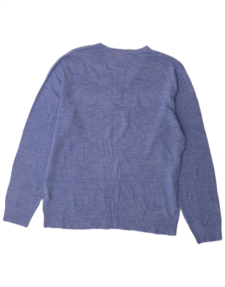 Marks & Spencer Herre V-hals sweater Medium Blue