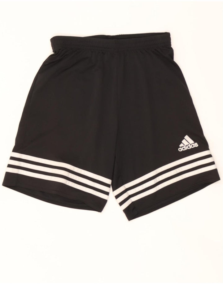 ADIDAS Mens Climalite Sport Shorts Small  Black Polyester Vintage Adidas and Second-Hand Adidas from Messina Hembry 