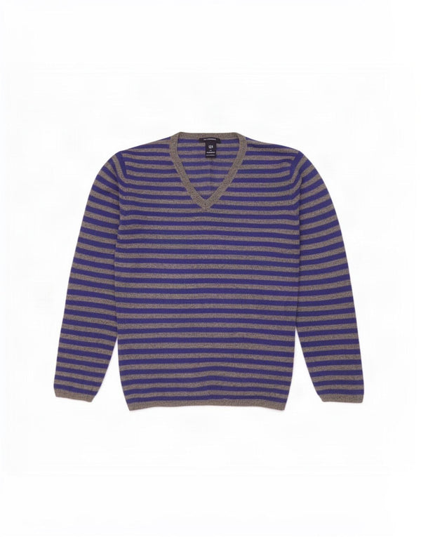 Gap Mens V-Neck Jumper Sweater Large Blue Striped Lambswool