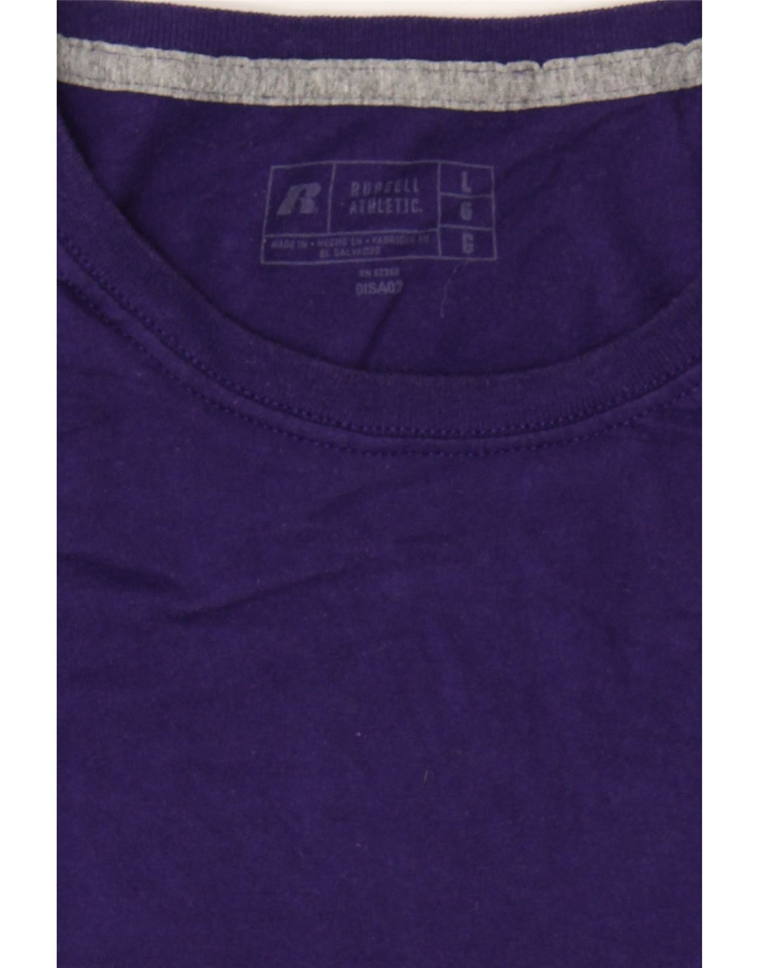 RUSSELL ATHLETIC Mens T-Shirt Top Large Purple Cotton Vintage Russell Athletic and Second-Hand Russell Athletic from Messina Hembry 