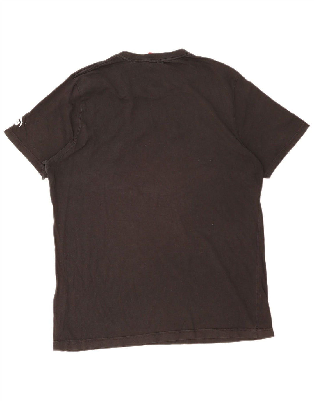 PUMA Grafisk T-shirt top til mænd, stor sort