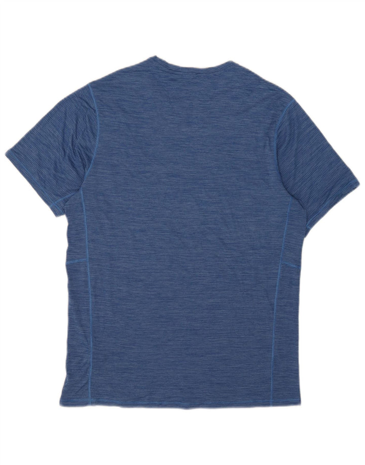 Patagonia Herre T-Shirt Top Medium Blue Pinstripe Polyester