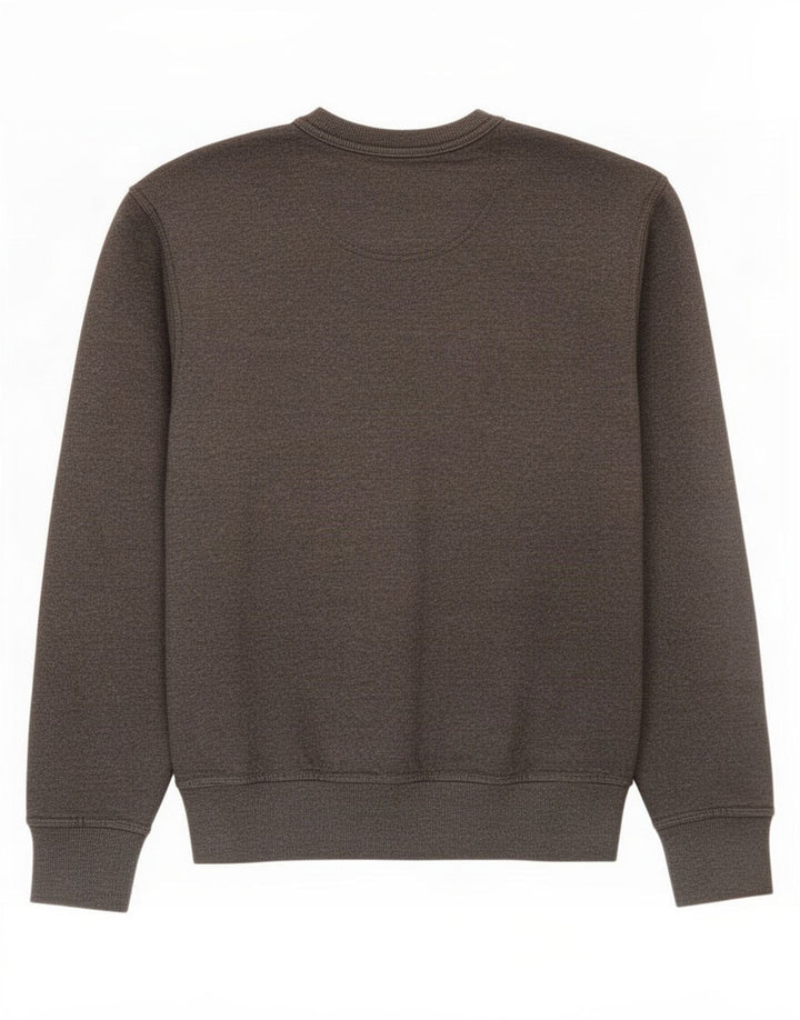Champion Herre grafisk sweatshirt Jumper lille grå bomuld