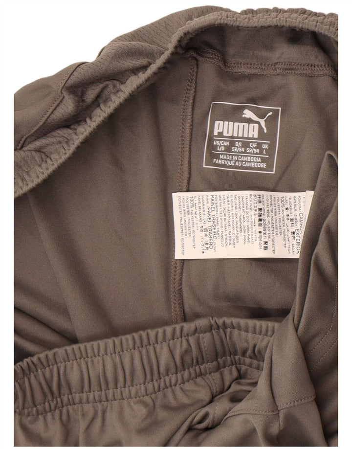 Puma Sportshorts til mænd Large Grå Colourblock Polyester