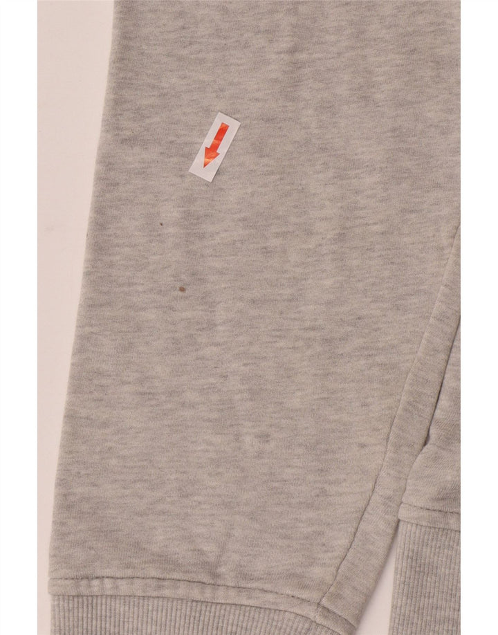 Lyle & Scott Herre sweatshirt Jumper Medium Grå Bomuld
